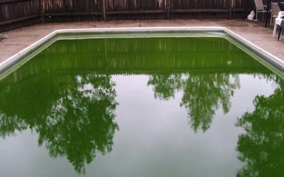 Get the green out of your swimming pool